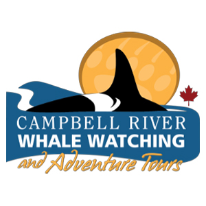 Campbell River Whale Watching